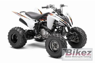 2010 Yamaha Raptor 250 photo